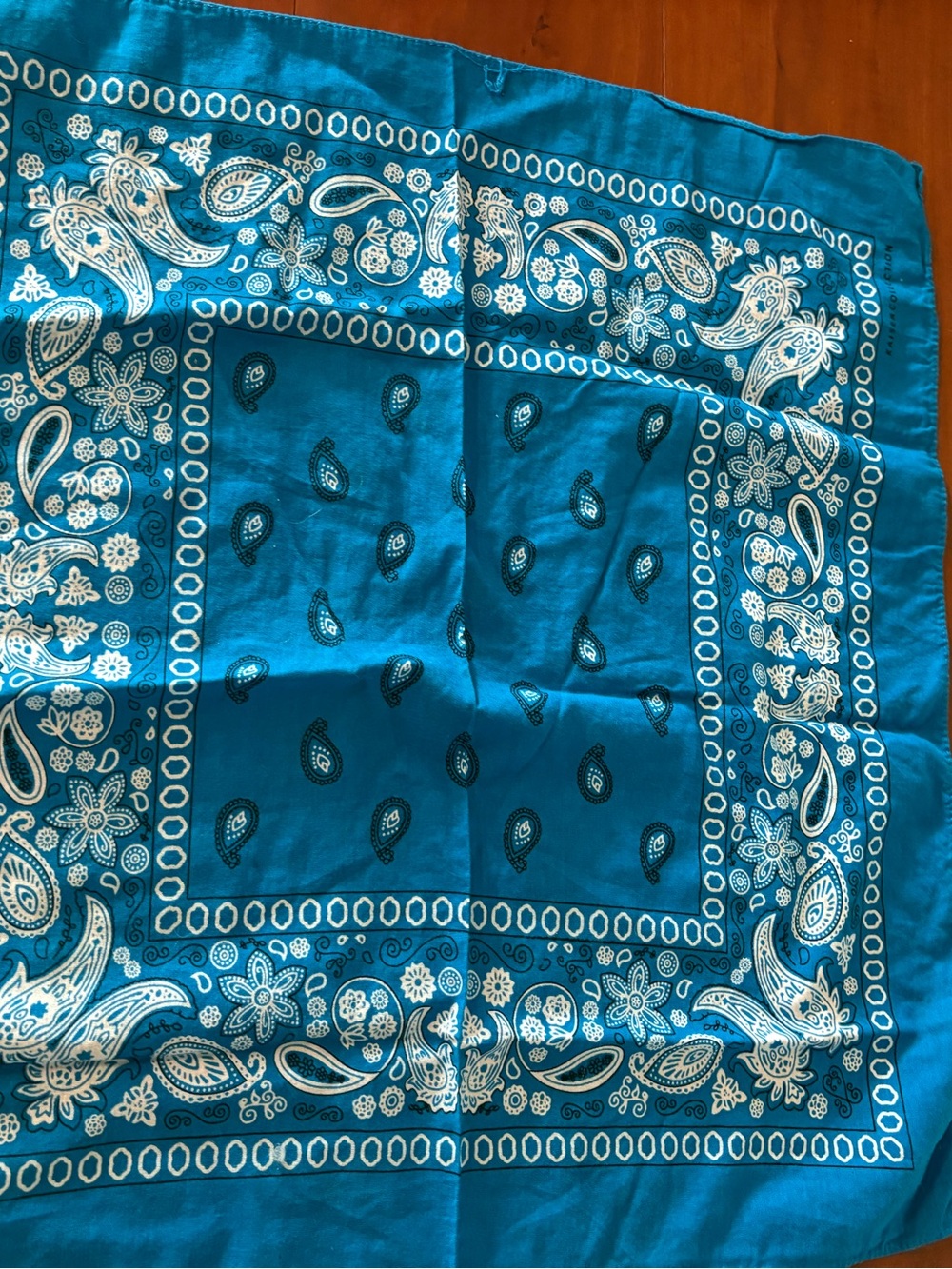Teal Blue Paisley Cotton Bandana Scarf 20 Inch Square
